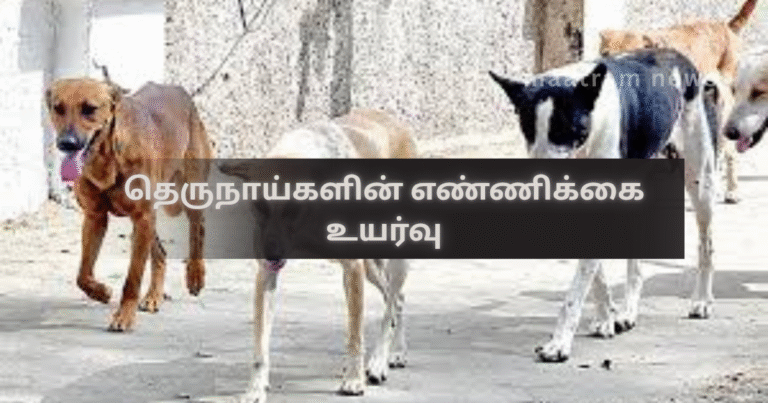 Increase in the Number of Stray Dogs