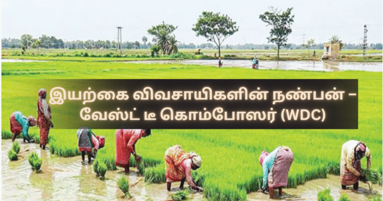 Waste Tea Composer (WDC) – The Microbial Formula Revolutionizing Organic Farming