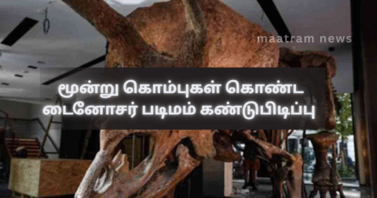 Triceratops Fossil with Three Horns Discovered