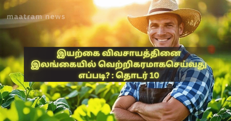 How to Successfully Practice Natural Farming in Sri Lanka? : Series 10