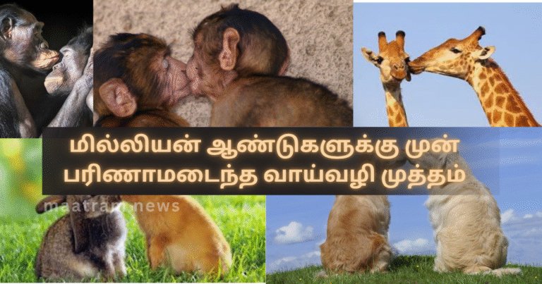 Kissing Evolved 21 Million Years Ago