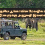 No Permission for Additional Safari Jeeps in Yala National Park