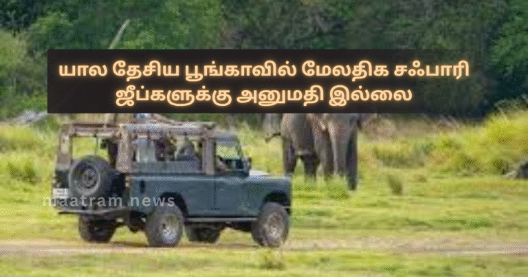 No Permission for Additional Safari Jeeps in Yala National Park