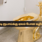 Toilet Sold for 375 Crore at Auction