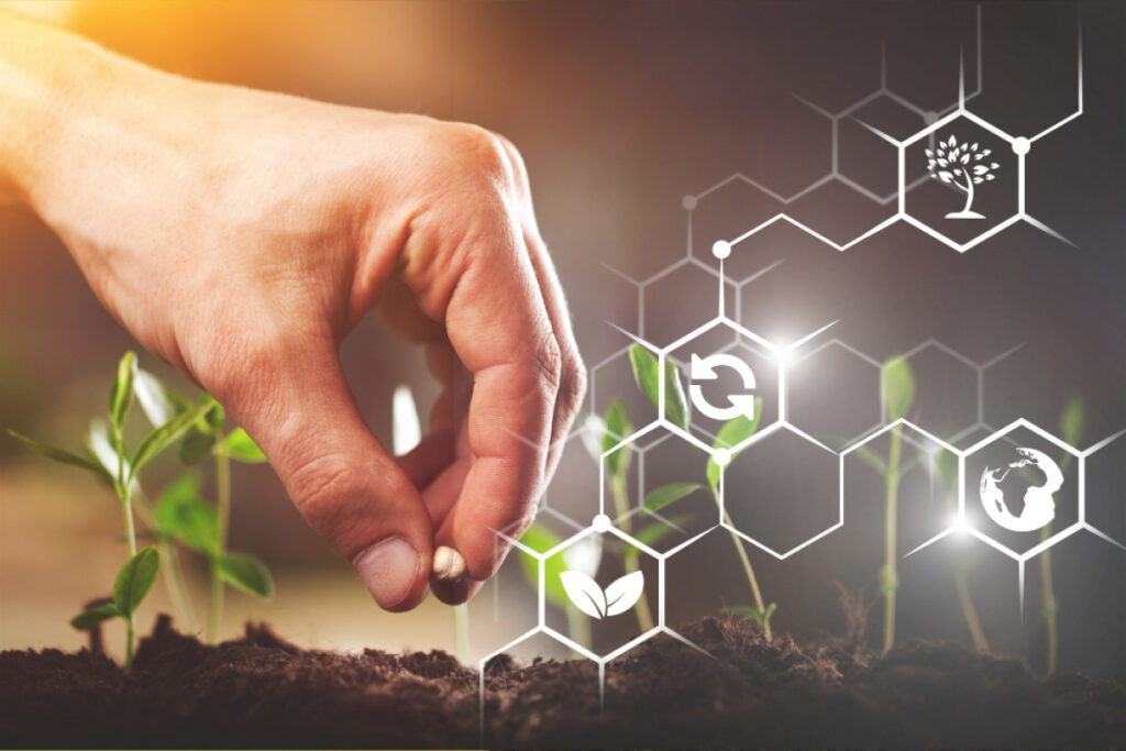 Preparation of Micronutrients in a Natural Way