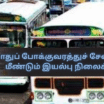 Public Transport Services Return to Normal