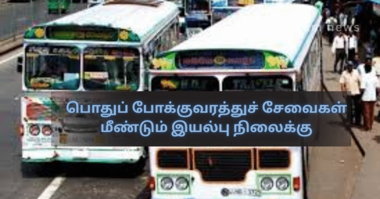 Public Transport Services Return to Normal