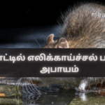 Risk of Leptospirosis Spread in the Country