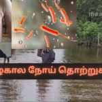 Monsoon Season Infections – 1