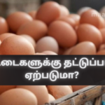 Will There Be an Egg Shortage?