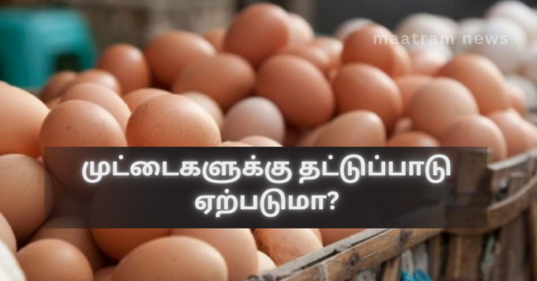 Will There Be an Egg Shortage?