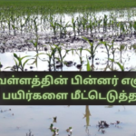 Recovering Remaining Crops After Floods