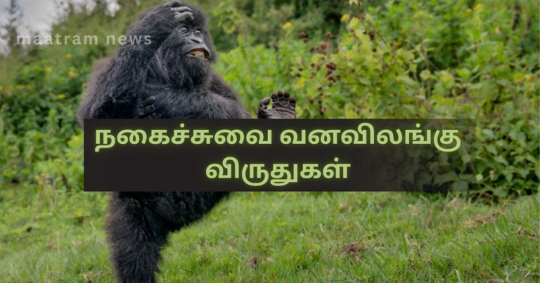 Comedy Wildlife Awards