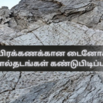 Discovery of Thousands of Dinosaur Footprints