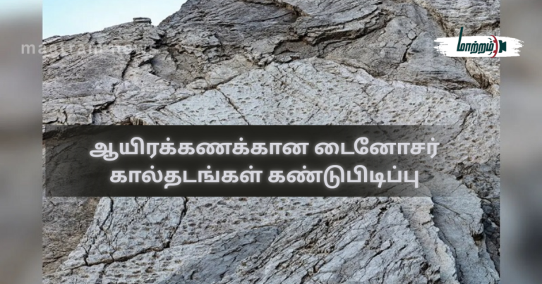 Discovery of Thousands of Dinosaur Footprints