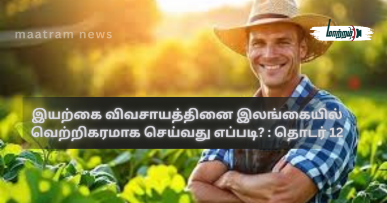 How to Successfully Practice Natural Farming in Sri Lanka? Series 12