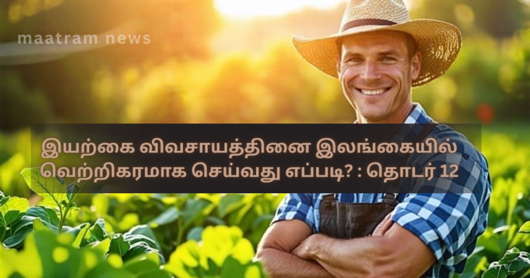 இயற்கை விவசாயத்தினை இலங்கையில் வெற்றிகரமாக செய்வது எப்படி? : தொடர் 12