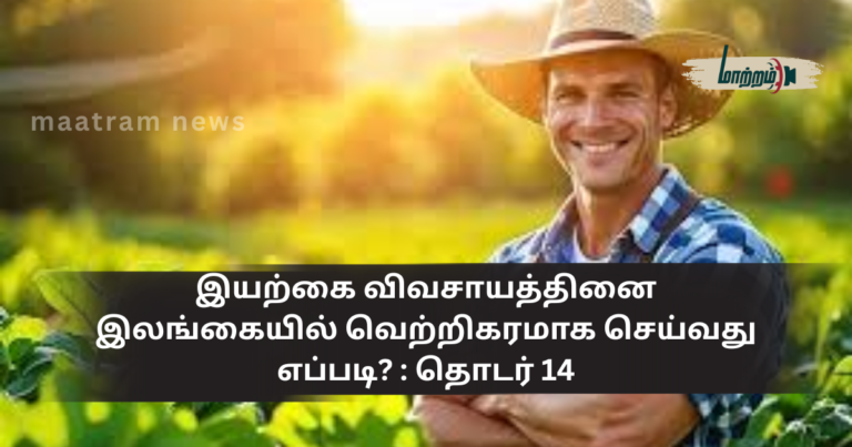 How to Practice Natural Farming Successfully in Sri Lanka? : Series 14