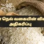 Increase in the price of Samba paddy varieties