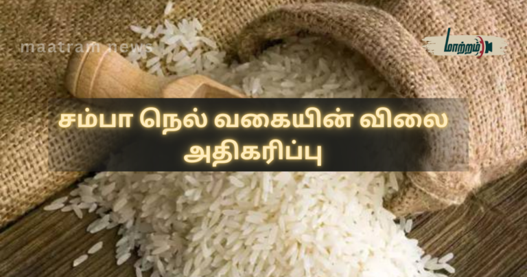 Increase in the price of Samba paddy varieties