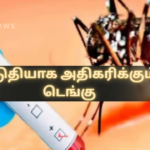 Rapid Increase in Dengue Cases