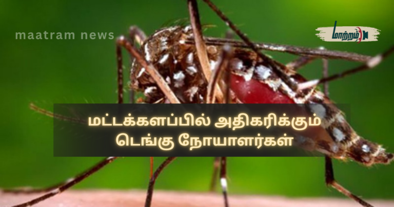 Rising Dengue Cases in Batticaloa