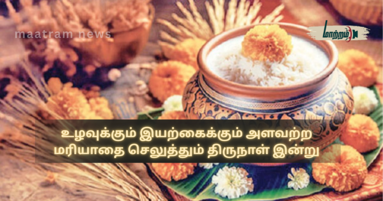 Thai Pongal – A Festival that Honors Farming and Nature