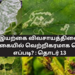 How to Successfully Practice Organic Farming in Sri Lanka? : Part 13