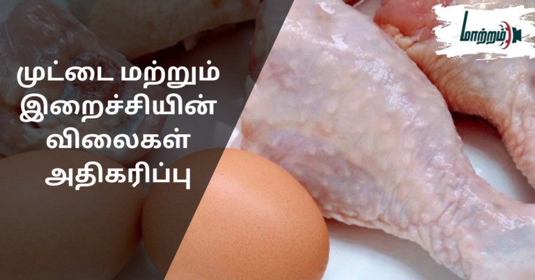 Increase in Egg and Chicken Prices
