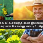 How to Successfully Practice Natural Farming in Sri Lanka? : Series 15