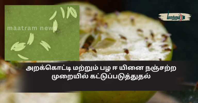 Eco-friendly Control of Brown Planthopper and Fruit Fly