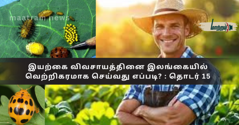 How to Successfully Practice Natural Farming in Sri Lanka? : Series 15