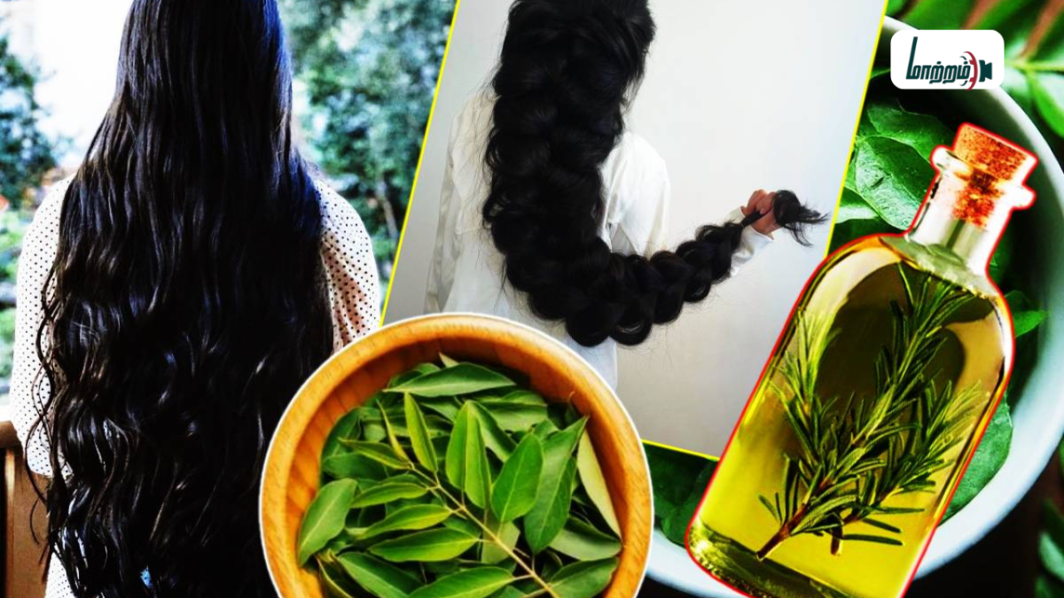 அடர்த்தியான முடிவளர்ச்சிக்கு கறிவேப்பிலை எண்ணெய்