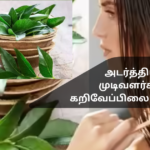 Curry Leaf Oil for Thick Hair Growth