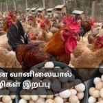 Poultry Deaths Increase Due to Dry Weather