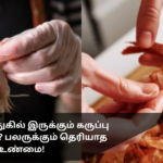 What Is the Black Line on the Back of Shrimp? A Truth Many People Don’t Know