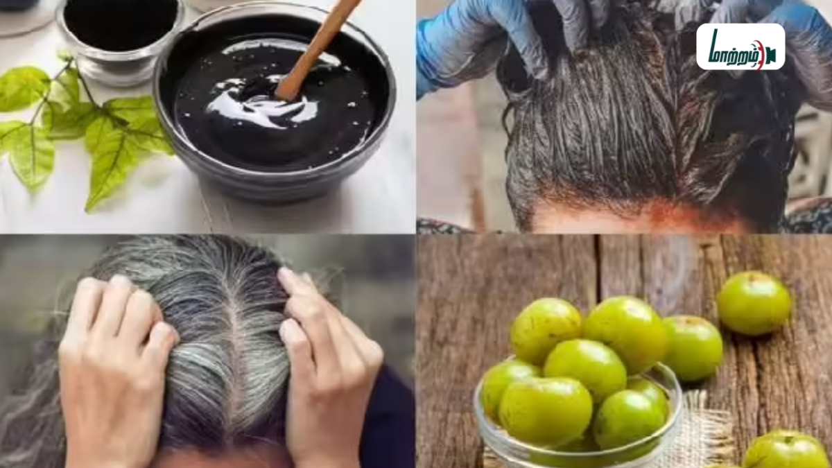  நரை முடியை கருமையாக்க எளிய வழிகள்