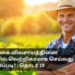 How to Successfully Practice Natural Farming in Sri Lanka: Part 19
