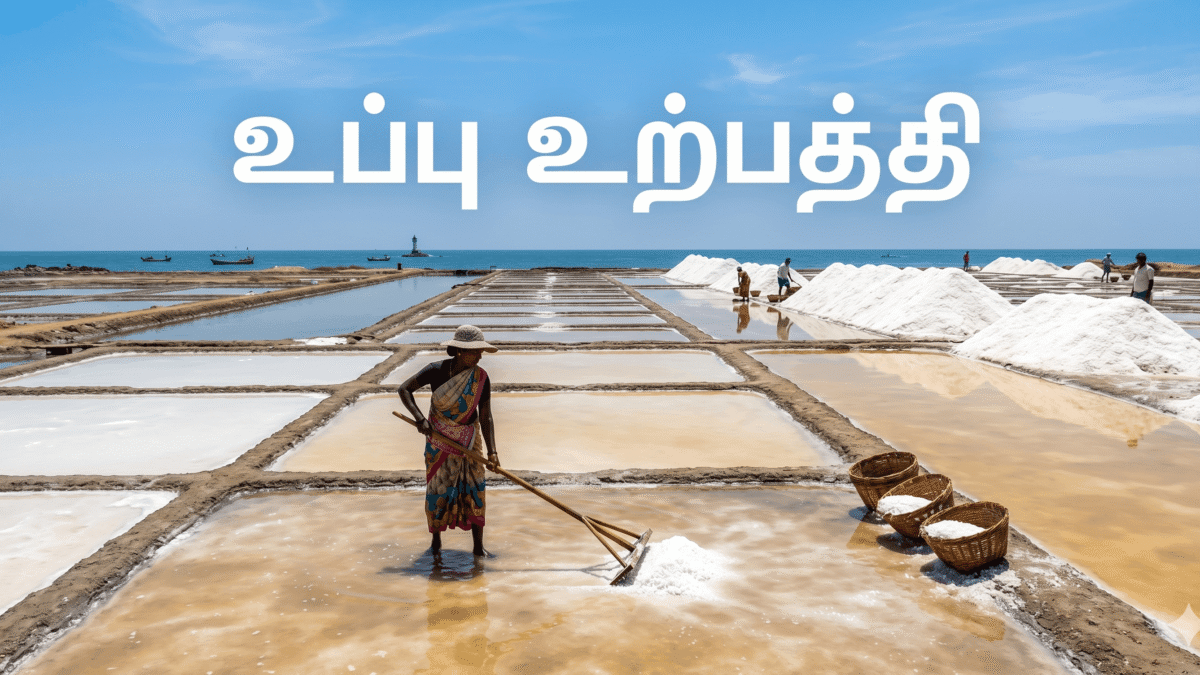 உப்பு உற்பத்தி