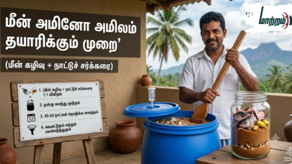 மீன்  அமிலம் தயாரிக்கும் முறை