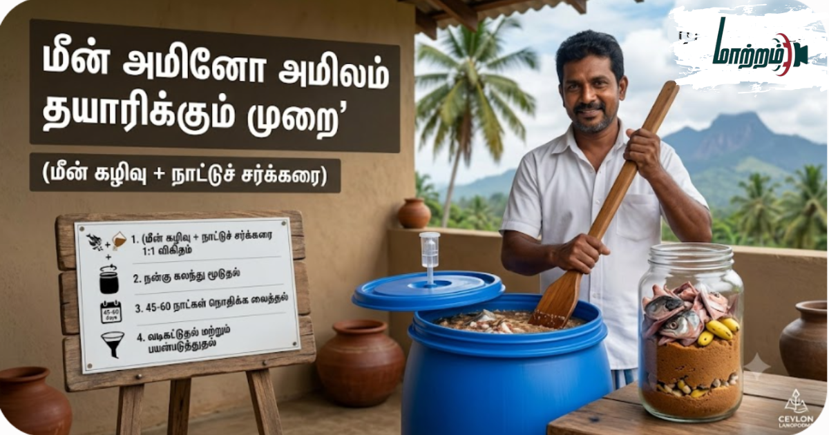 மீன்  அமிலம் தயாரிக்கும் முறை