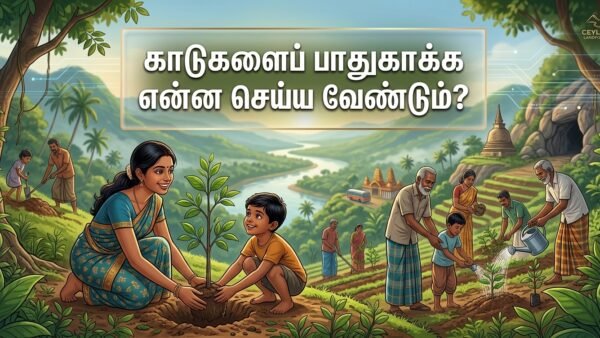 காடுகளைப் பாதுகாக்க என்ன செய்ய வேண்டும்?