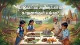 காடுகளின் அழிப்புக்கான காரணங்கள் என்ன?
