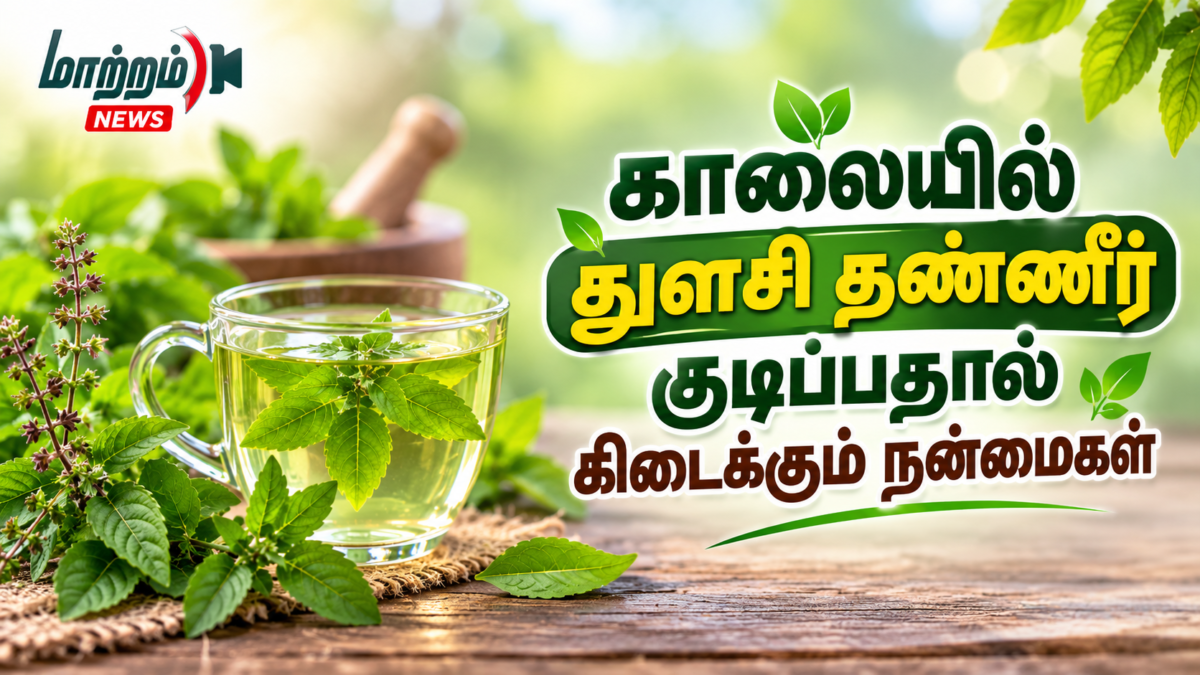 காலையில் துளசி தண்ணீர் குடிப்பதால் கிடைக்கும் நன்மைகள்