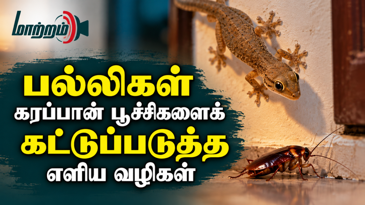 பல்லிகள் கரப்பான் பூச்சிகளைக் கட்டுப்படுத்த எளிய வழிகள்